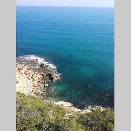 فيلا El Poblet 36 دينايا المظهر الخارجي الصورة